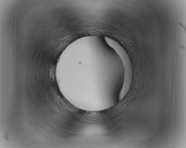 X0000101970768200808081551