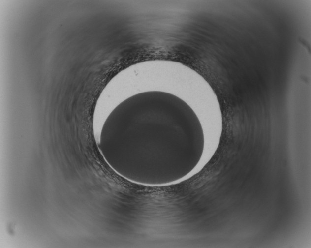 X0000101970769200808081550