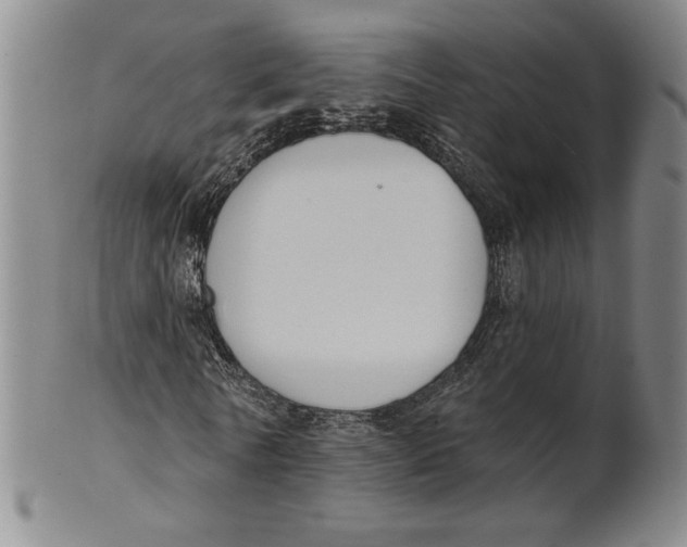 X0000101970770200808081550