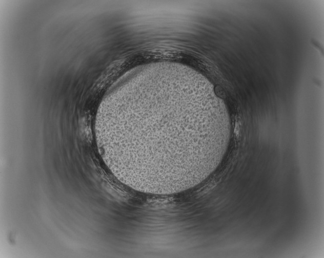 X0000101970771200808081550