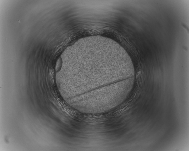 X0000101970772200808081550