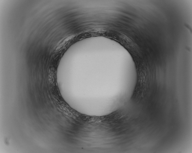 X0000101970773200808081550