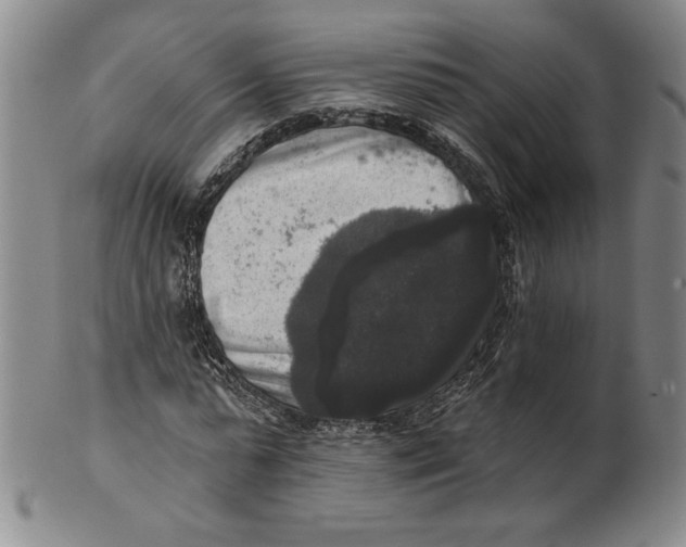 X0000101970775200808081550