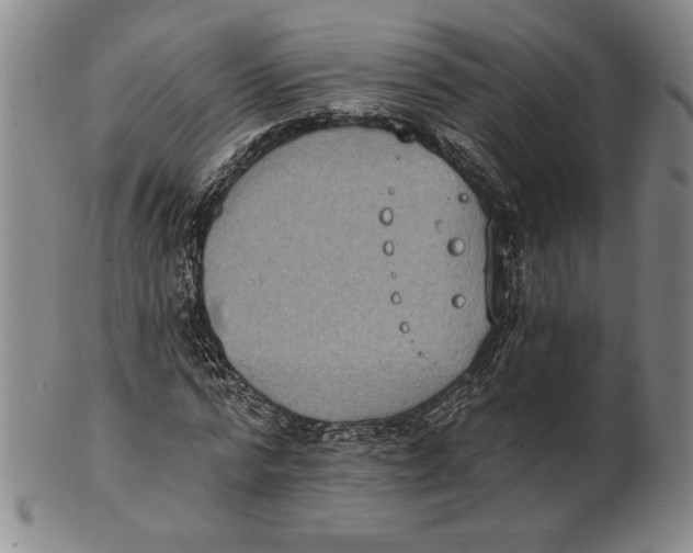 X0000101970776200808081550