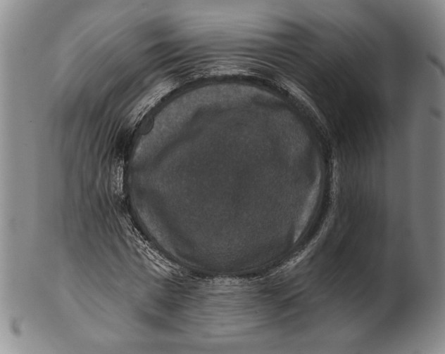 X0000101970777200808081550