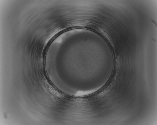 X0000101970779200808081550