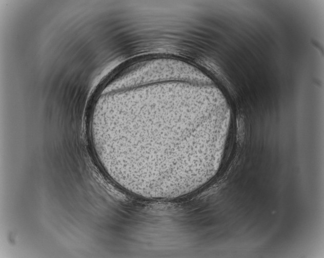 X0000101970780200808081550