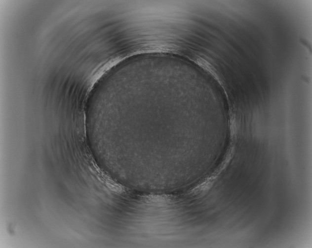 X0000101970781200808081550