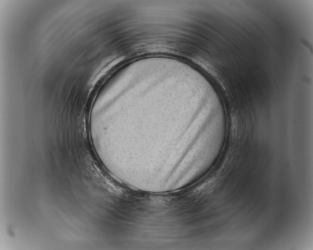 X0000101970782200808081550