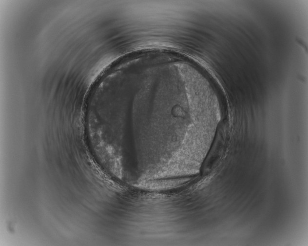 X0000101970783200808081550