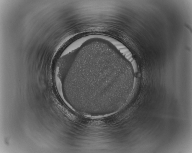 X0000101970784200808081550