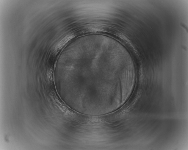 X0000101970785200808081550