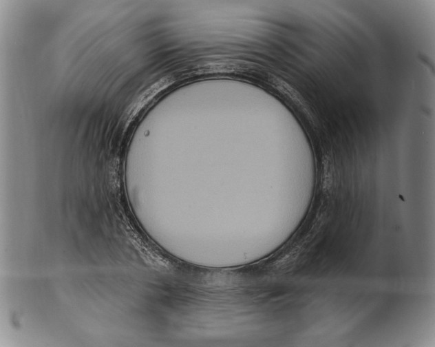 X0000101970786200808081550