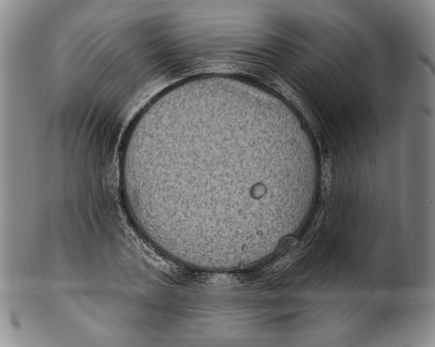 X0000101970787200808081550