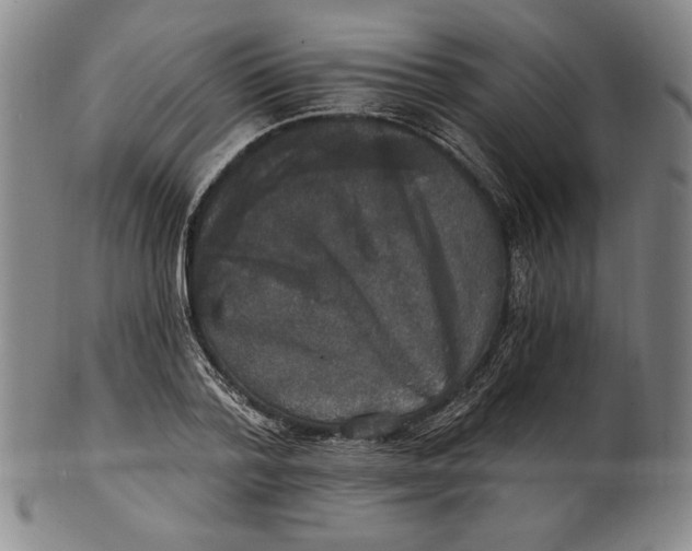 X0000101970788200808081550