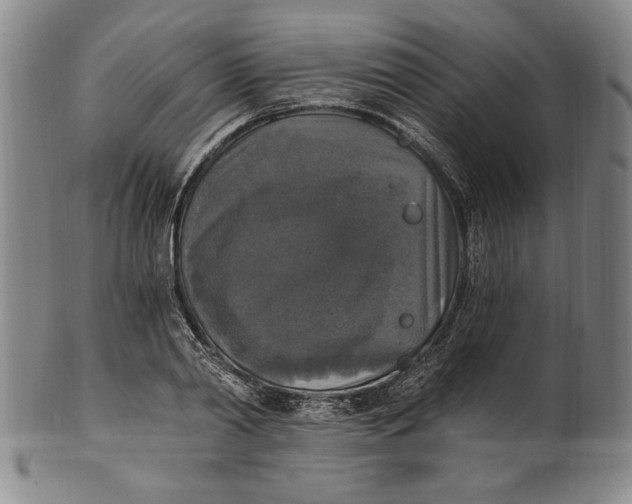 X0000101970790200808081550