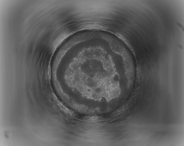 X0000101970791200808081550