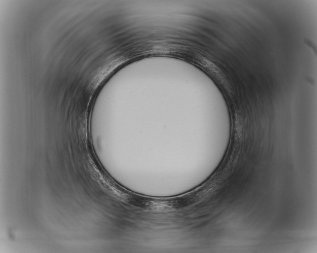 X0000101970794200808081550