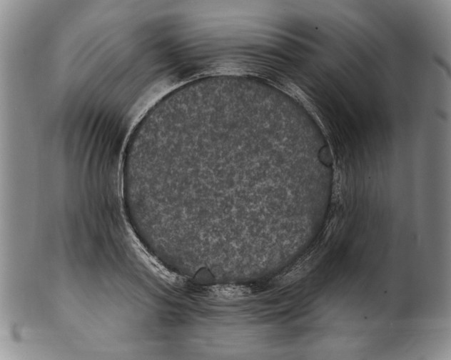 X0000101970795200808081550