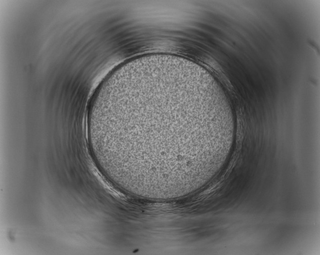 X0000101970796200808081550