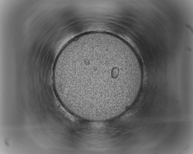 X0000101970799200808081550