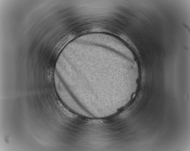 X0000101970801200808081550