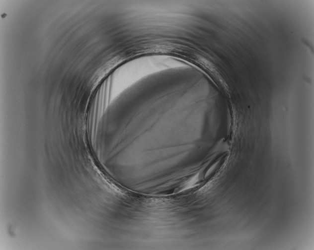 X0000101970802200808081550