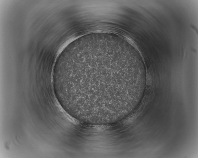 X0000101970803200808081550