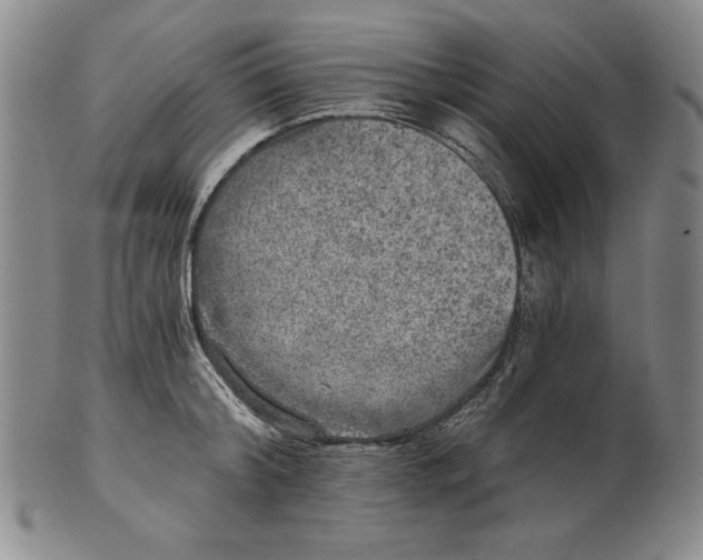 X0000101970804200808081550