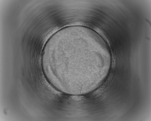 X0000101970805200808081550