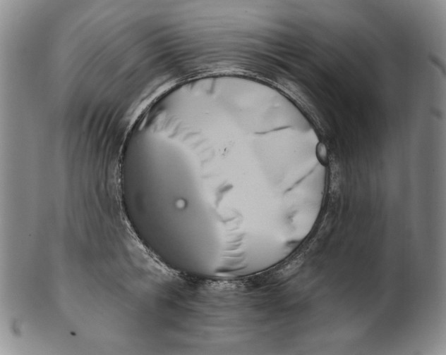 X0000101970806200808081550