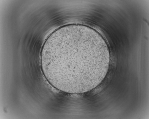 X0000101970807200808081550