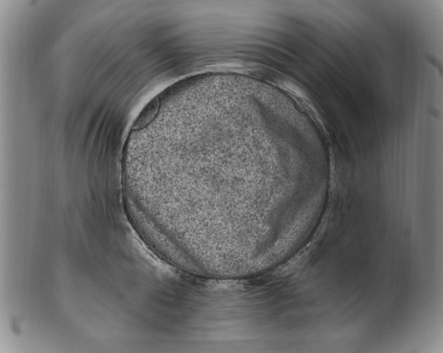 X0000101970808200808081550