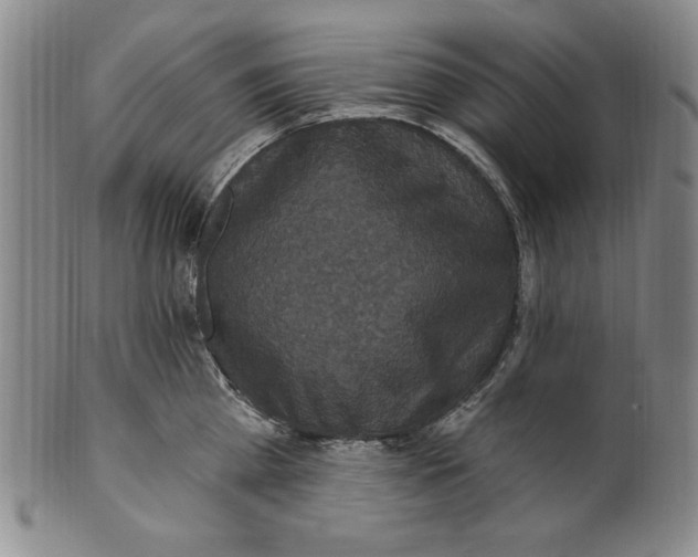 X0000101970809200808081550