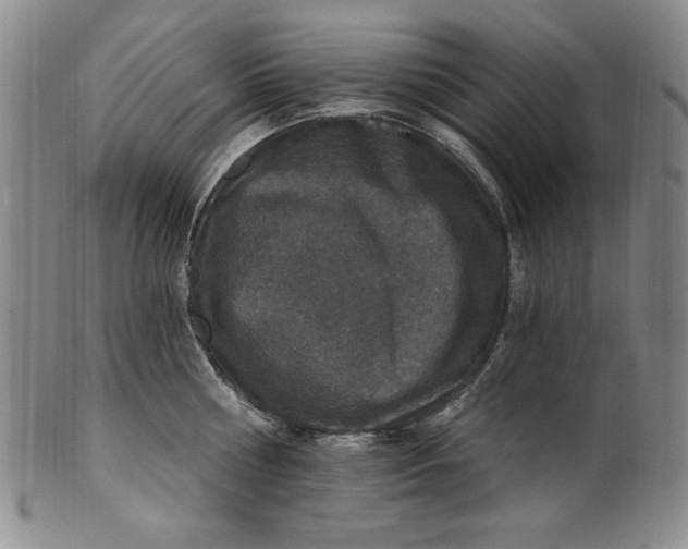 X0000101970810200808081550