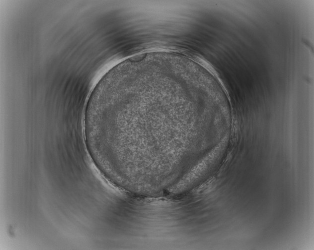 X0000101970811200808081550