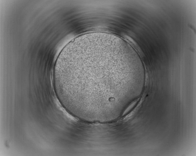 X0000101970812200808081550