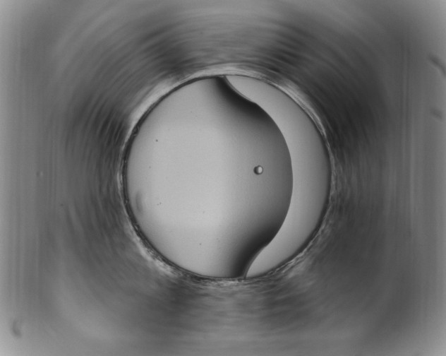 X0000101970813200808081550