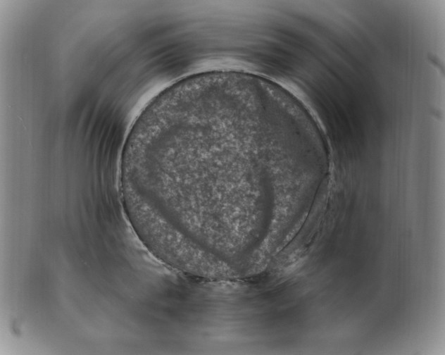 X0000101970815200808081550