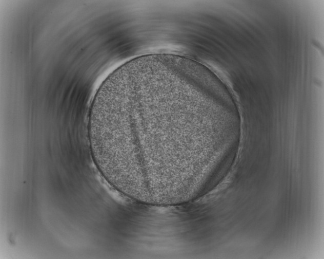 X0000101970816200808081550