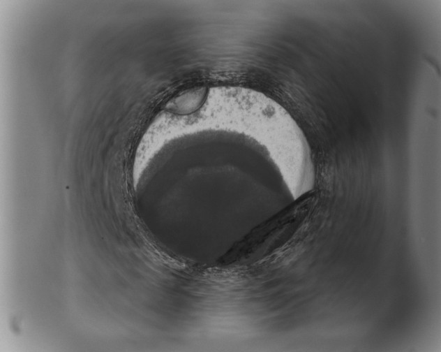 X0000101970817200808081549