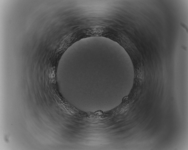 X0000101970818200808081549