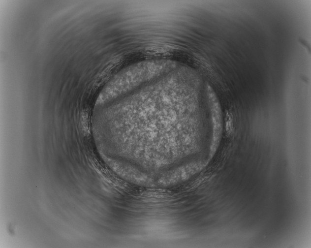 X0000101970819200808081549