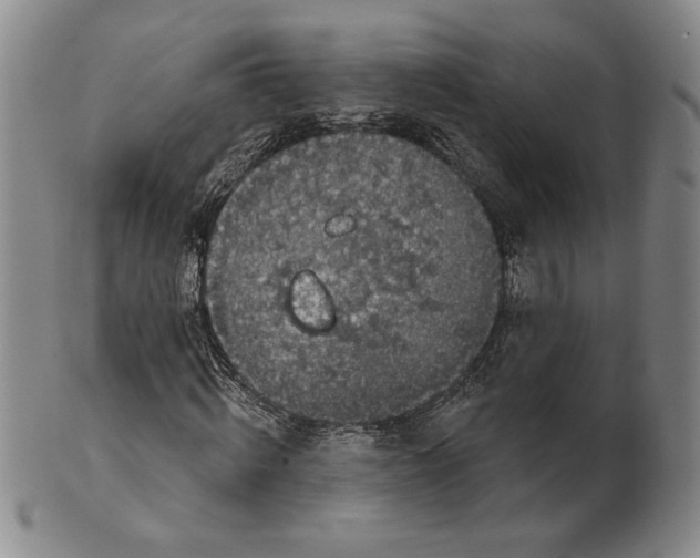 X0000101970820200808081549