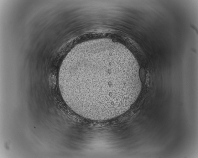 X0000101970821200808081549