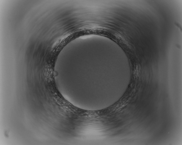 X0000101970822200808081549