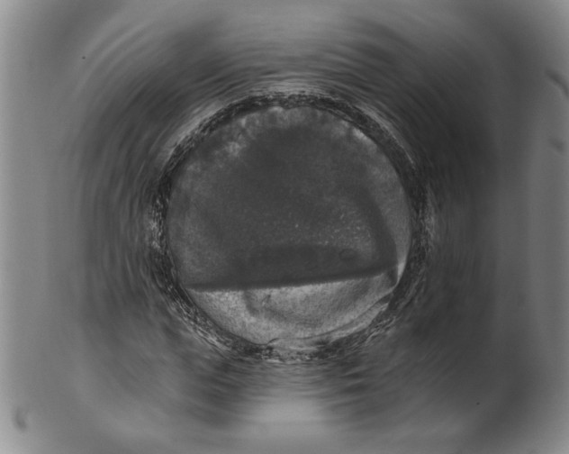 X0000101970823200808081549