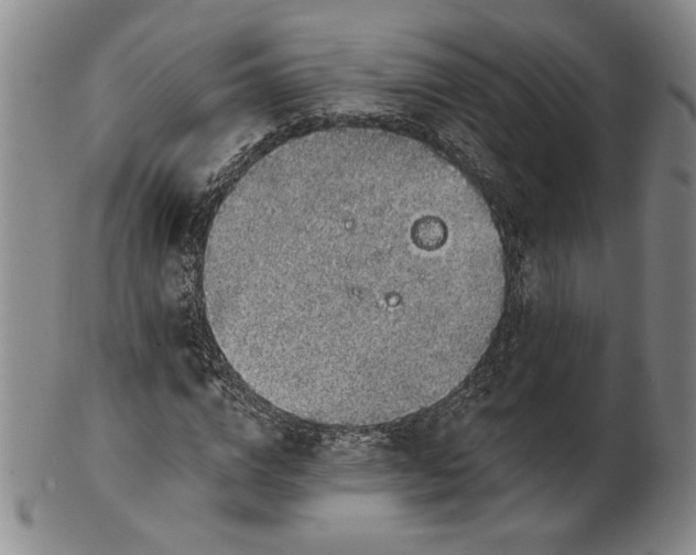 X0000101970824200808081549