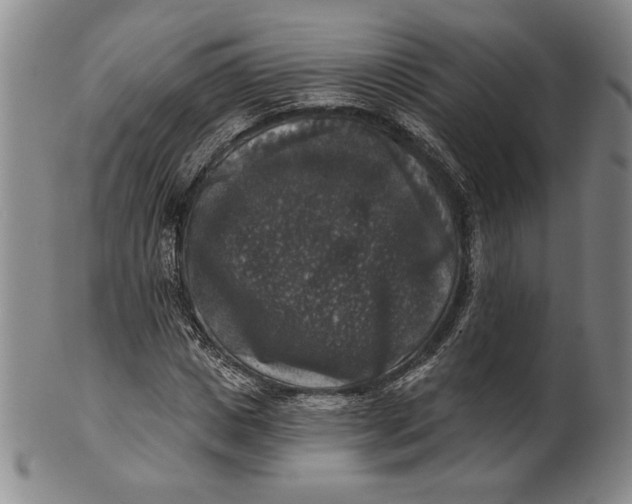 X0000101970825200808081549