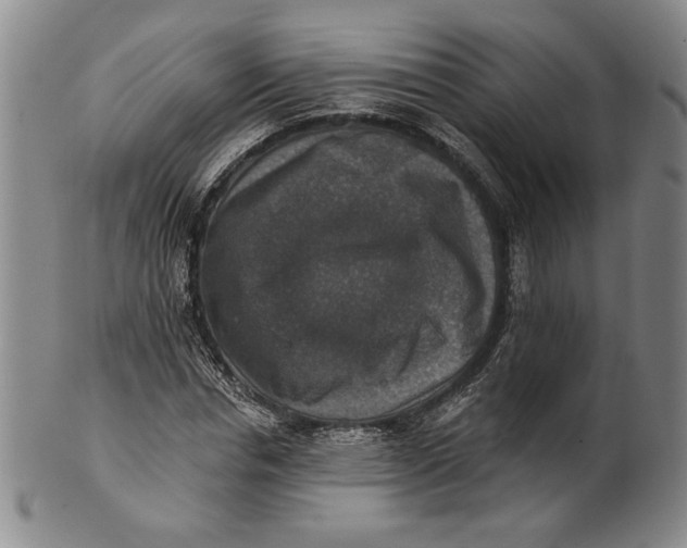 X0000101970826200808081549